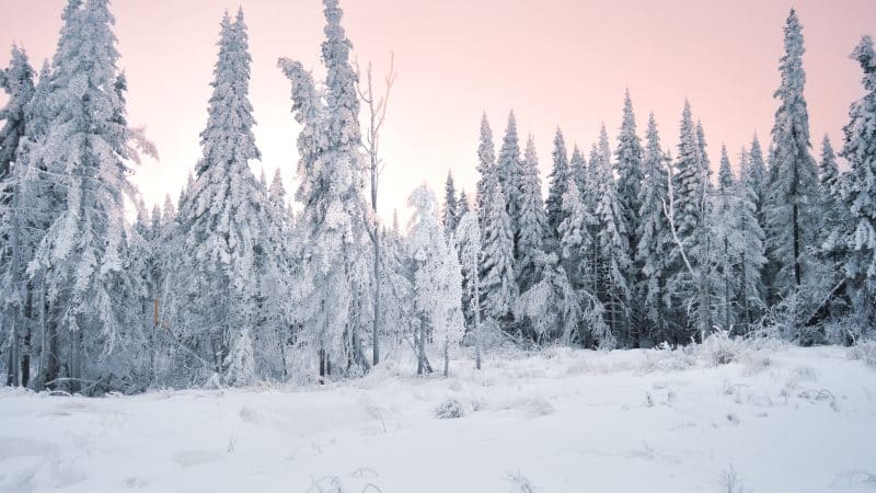 La montagne en hiver : des destinations à ne pas manquer !